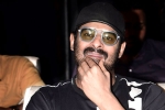 Prabhas and Maruthi Film news, People Media Factory, prabhas next film launched, Raja deluxe