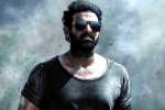 Prithviraj Sukumaran in Salaar, Prabhas news, prabhas salaar to have malayalam star, Shruthi haasan Prithviraj Sukumaran in Salaar, Prabhas news, prabhas salaar to have malayalam star, Shruthi haasan