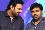 Maruthi, Prabhas and Maruthi film titles, new title for prabhas and maruthi film, Nidhhi agerwal