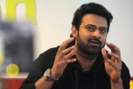 Malavika Mohanan, Prabhas upcoming projects, two young beauties in talks for prabhas next, Pelli sandad