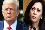 Amy Tripp news, Amy Tripp internet, astrologer predictions about the new us president, Amy tripp
