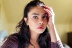 Priyanka Chopra latest, Priyanka Chopra breaking, priyanka chopra breaks silence on don t look for virgin wife comment, Priyanka chopra