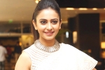 Rakul Preet Singh, Rakul Preet Singh news, rakul preet s multi starrer, Actress rakul preet singh