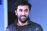 Ranbir Kapoor news, Ranbir Kapoor updates, ranbir kapoor s cameo in srk s next, Ae dil hai mushkil