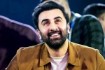 Animal, Ranbir Kapoor new films, ranbir kapoor to take a long break, Suits