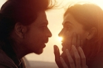 Dunki violence, Dunki business, srk s dunki to be high on violence, Rajkumar hirani