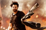 Shraddha Kapoor, Saaho collections, saaho ten days telugu states collections, Neil nitin mukesh