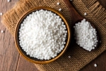 Sabudana health benefits, Sabudana good for health, is sabudana good for health, Snacks