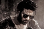 Salaar 2 budget, Salaar 2 shooting news, new update from salaar 2, Shruti haasan