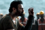 Salaar Action Trailer latest updates, Salaar Action Trailer latest updates, salaar action trailer is packed with action, Shruti haasan