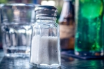 Sambhar Refined Salt, poison in Sambhar Refined Salt, your table salt may contain poison claims activist, Sambha
