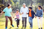 Sandwich Generation's Finance news, Sandwich Generation's Finance new updates, all about sandwich generation s finance, Pants