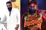 Pushpa: The Rule breaking, Pushpa: The Rule breaking, sanjay dutt s surprise in pushpa the rule, Running