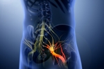 Sciatica nerve, Sciatica nerve disorder, help yourself on sciatica, Sudesh abrol