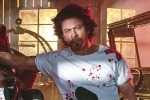 Shah Rukh Khan news, Shah Rukh Khan new films, shah rukh khan to play a don in king, Siddharth anand