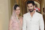 Mira Rajput, Shahid Kapoor news, shahid kapoor s baby not named yet, Mira rajput