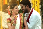 Silly Fellows movie review and rating, Silly Fellows telugu movie review, silly fellows movie review rating story cast and crew, Jayaprakash reddy