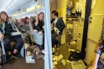 Singapore Airlines breaking, Singapore Airlines, one dead and 30 injured in singapore airlines turbulence horror, Singapore airlines