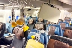 Singapore Airlines accident, Singapore Airlines, singapore airlines statement after turbulence horror, Singapore airlines
