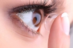 cornea, cornea, study sleeping in your contacts may cause stern eye damage, Eye infections