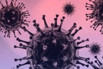 Omicron breaking news, Omicron, south african scientists about omicron variant, Omicron symptoms