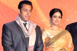 Sridevi, Salman Khan Films, sridevi to work with salman khan, English vinglish Sridevi, Salman Khan Films, sridevi to work with salman khan, English vinglish
