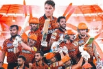 Sunrisers Hyderabad points, SRH, sunrisers hyderabad qualified for ipl playoffs, Srh