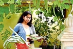 nris in farming, gourd, this nri in qatar keen on farming is going green, B m kutty