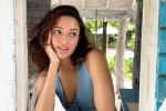 Triptii Dimri upcoming movies, Triptii Dimri upcoming movies, triptii dimri is eager to sign hollywood films, Funny