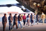 USA Illegal Immigrants by Donald Trump, Donald Trump rule, usa arrests over 500 illegal immigrants, Japanese