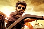 Veera Simha Reddy in AP, Gopichand Malineni, veera simha reddy sankranthi weekend collections, Varalaxmi sarathkumar