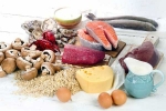 Vitamin B12 Deficiency supplements, Vitamin B12 Deficiency food, food sources to overcome vitamin b12 deficiency, Lamb