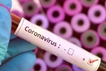 Cure for coronavirus, Vaccine for coronavirus, who warns covid 19 may never go away then what s the future of the world, Us federal reserve