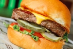 Wahlburgers in Chicago, Mark Wahlberg's Burger Chain to Chicago, mark wahlberg s burger chain to chicago, Gluten free