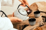 Wellness Tea breaking updates, Wellness Tea, can wellness tea help with weight loss and belly fat, Maxim