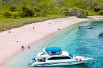Pink Beach in Indonesia suggestion, Pink Beach in Indonesia list, which pink beach should you visit in indonesia, Unsc
