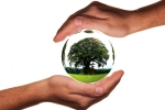 how to make money helping the environment, world environment day 2019 host country, world environment day here s how you can save the planet with these simple steps, Renewable sources