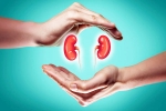 World Kidney Day 2025 health, World Kidney Day 2025 theme, world kidney day 2025 theme and health tips, Obesity