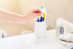 Toothbrush latest updates, Toothbrush change time, how often should you change your toothbrush, Oral hygiene