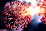 Covid-19 in China breaking updates, Covid-19 in China news, new and highly infectious covid 19 variant emerges in china, Gpi