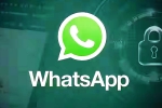 iOS Testing Multi-Account Support for WhatsApp, iOS Testing Multi-Account Support for WhatsApp breaking, whatsapp for ios testing multi account support, Whatsapp