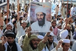 Bin Laden operations, USA, bin laden continues to mobilize jihadists ten years after his death, Osama bin laden