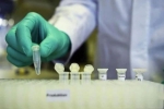 mutants, strain, not enough mutants in coronavirus in india to inflict concern, Global development