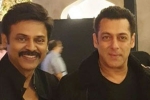 salman khan at Venkatesh daughter marriage, salman khan at Venkatesh daughter marriage, watch salman khan shake legs with venkatesh at his daughter aashritha daggubati s wedding, Bollywood star salman khan