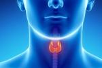 Throat Cancer Risk Factors, Throat Cancer types, how to prevent throat cancer, Throat cancer