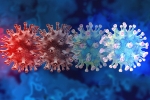C.1.2 variant study, new coronavirus variant, latest coronavirus variant evades vaccine protection, Mauritius