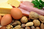 protein, protein, why protein is an important part of your healthy diet, Healthy fats