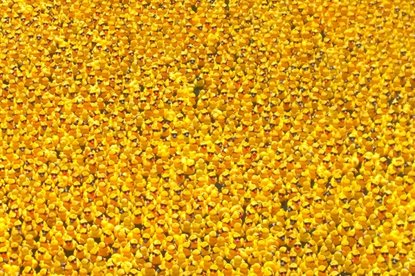 Waves of Donation in Chicago river