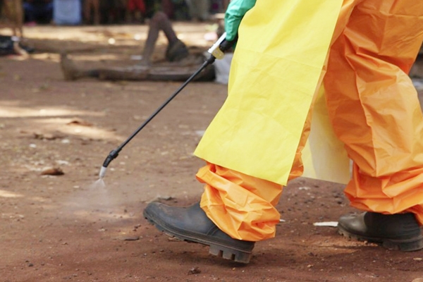 Guinea free from Ebola virus!},{Guinea free from Ebola virus!