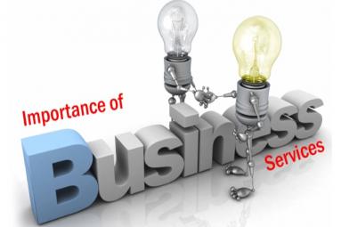 Business Service agency for NRIs